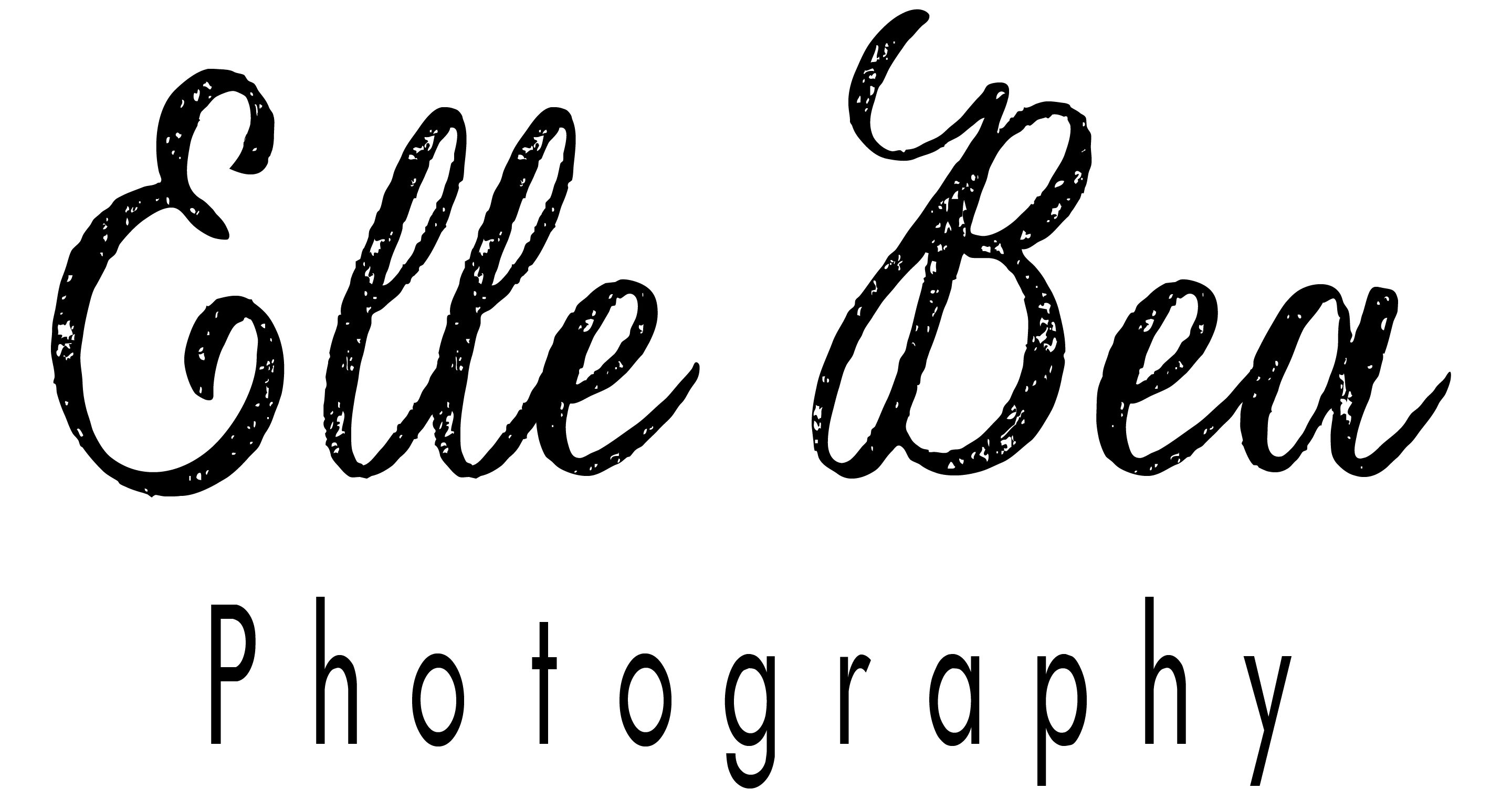Elle Bea Photography Chattanooga